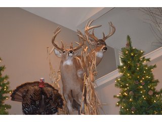 54.7 Acres with 50 tillable and 4.3 wooded.  Surrounded by heavy deer population on CRP land.  Great trophy deer hunting on established food plots.  Hunting tower.

Receive income on tillable acres while abundance of deer hunting on established food plot. - Great Investment Opportunity - Tillable Land, Recreation & Building Site